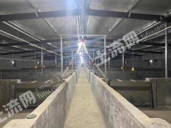 菏泽郓城县 140亩 成熟的养猪场 经营权合作