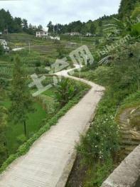 遵义桐梓县 350平方米 农家庭院 使用权出租