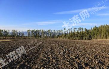 新疆伊犁新源县 15189亩 旱地 经营权出租