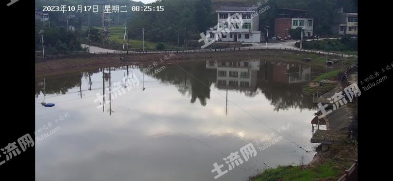 重庆垫江县 13.89亩 坑塘水面 经营权出租