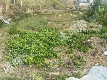 临沧临翔区 0.77亩 农村宅基地 使用权转让