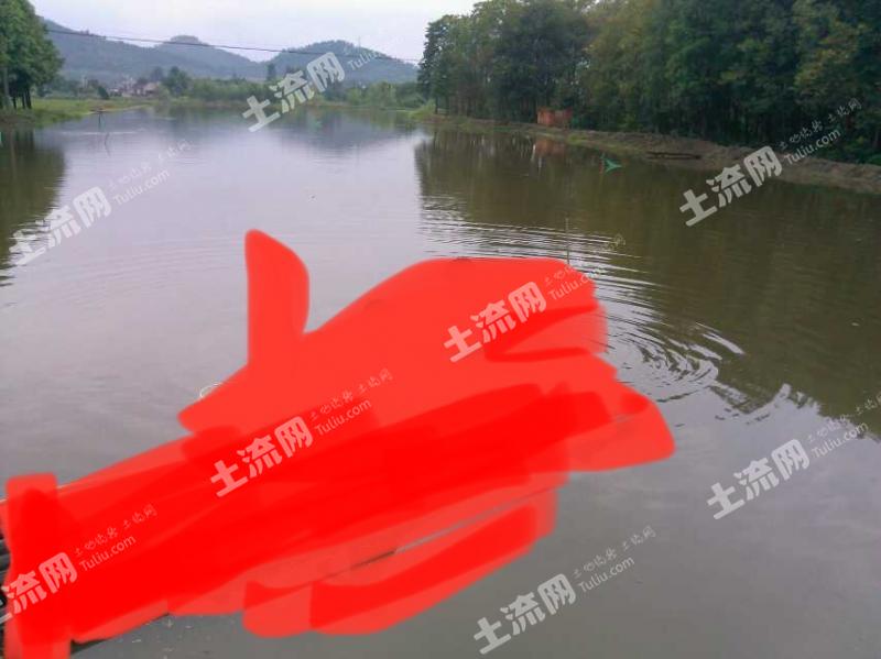 浙江湖州 20亩 坑塘水面 经营权出租