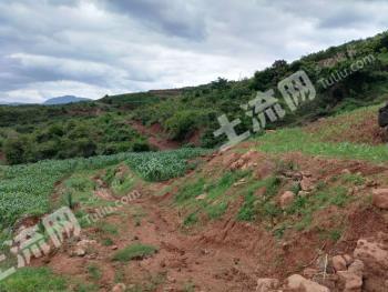 玉溪易门县 1005.2亩 荒地 先开发后利用