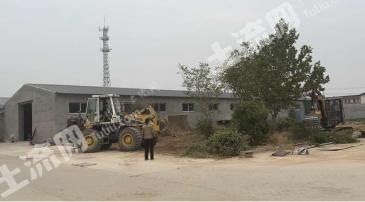 石家庄无极县 30亩 其它林地 经营权出租