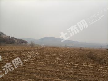 呼伦贝尔扎兰屯市 265亩 旱地 经营权转让