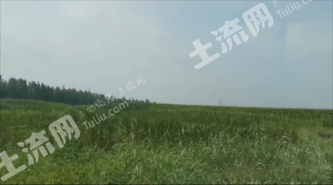 长春绿园区 18亩 坑塘水面 经营权转让