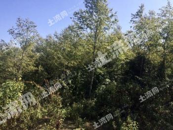 随州随县 160亩 灌木林地 经营权转让