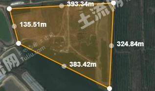 天津武清区 124.51亩 荒地 使用权出租