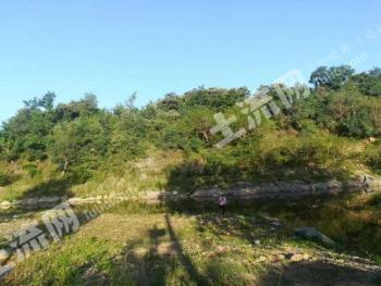 烟台莱阳市 26.15亩 灌木林地 经营权出租