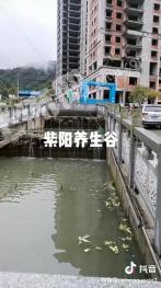 安康紫阳县 249.07亩 城镇住宅用地 使用权转让