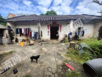 北海银海区 290平方米 农村宅基地 使用权出租