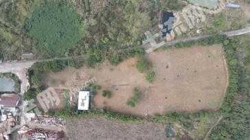 台州临海市 22.11亩 农场 使用权出租