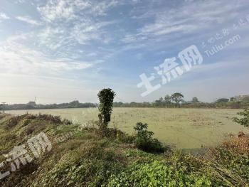 泰州姜堰区 46亩 湖泊水面 使用权出租