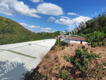 攀枝花盐边县 1507.08亩 其它林地 经营权合作