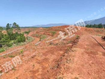 吉安永新县 500亩 其它园地 经营权转让