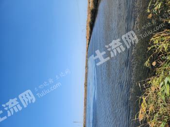 东营河口区 4671.04亩 坑塘水面 经营权出租