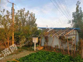 德州齐河县 9亩 果园 经营权出租