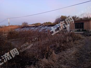 齐齐哈尔建华区 3亩 水浇地 经营权转让