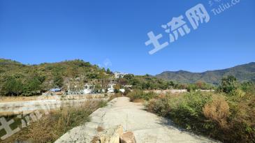 泰安岱岳区 308.92亩 乔木林地 经营权转包