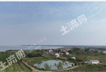 合肥庐江县 175亩 水浇地 经营权出租