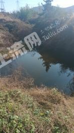 烟台牟平区 8亩 果园 经营权转包