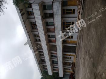 廣元蒼溪縣 1.86畝 農(nóng)村宅基地 使用權(quán)出租