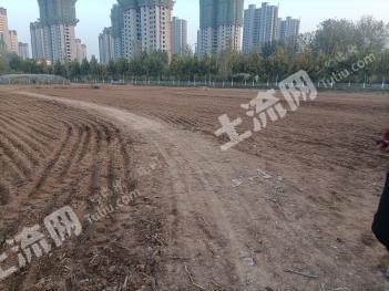 菏泽巨野县 3.92亩 水浇地 经营权出租