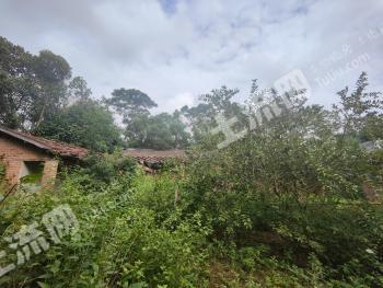 北海银海区 700平方米 农村宅基地 使用权出租