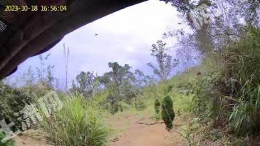 韶关乐昌市 200亩 其它林地 经营权入股