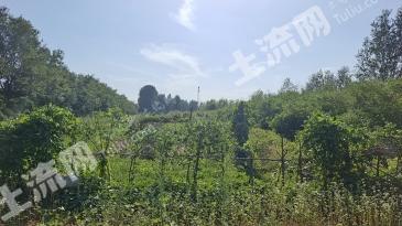 济南莱芜区 99.07亩 乔木林地 经营权出租