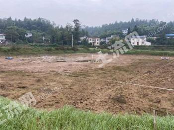 重庆潼南区 30亩 水田 经营权出租