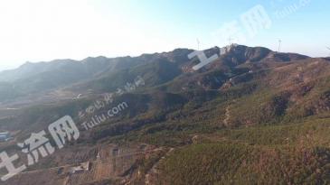 威海文登区 6000亩 其它林地 经营权转让