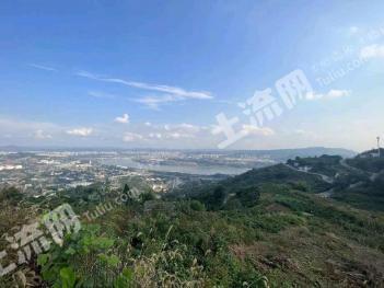 重庆大渡口区 0.12亩 农村宅基地 使用权转让