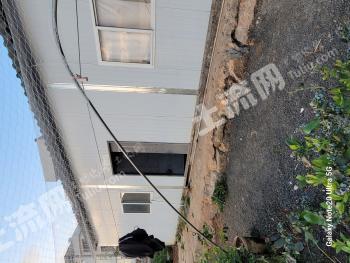 玉溪澄江县 25.31亩 果园 经营权转包