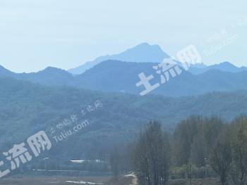 平顶山鲁山县 1921.92亩 其它林地 经营权出租