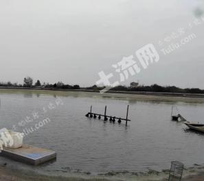 泰州兴化市 40亩 坑塘水面 经营权出租