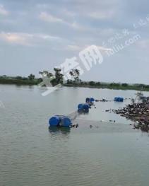 湛江吴川市 40亩 坑塘水面 经营权出租