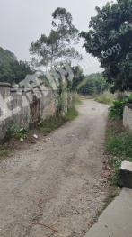 广州黄埔区 50亩 旱地 经营权出租