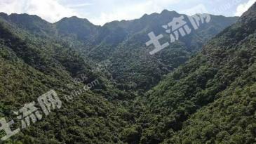 南宁武鸣区 1688亩 灌木林地 经营权转包