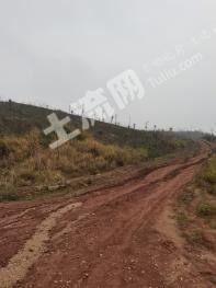 长沙天心区 130亩 其它林地 经营权出租