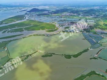 阳江阳西县 1019.65亩 沿海滩涂 使用权出租