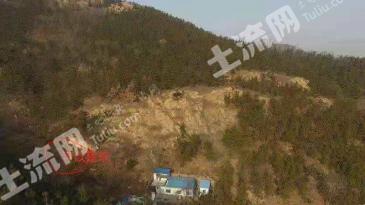 青岛城阳区 500亩 乔木林地 经营权转让