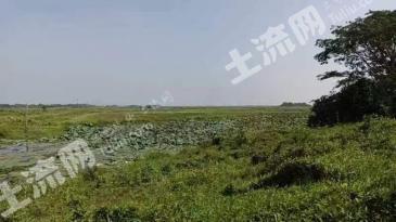 九江永修县 20000亩 内陆滩涂 使用权出租