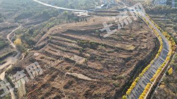 山东潍坊 35亩 城镇住宅用地 使用权招拍挂