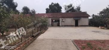 德陽什邡市 0.92畝 農(nóng)村宅基地 使用權(quán)出租