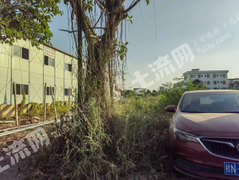 广东中山 6.53亩 农村宅基地 使用权出租