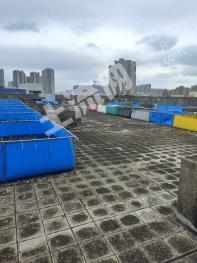 珠海香洲区 10727.72平方米厂房楼顶天台 使用权出租