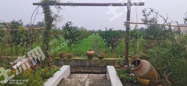 德陽什邡市 2.45畝 農(nóng)村宅基地 使用權(quán)出租