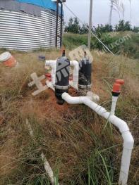 赣州会昌县30亩果园经营权转让