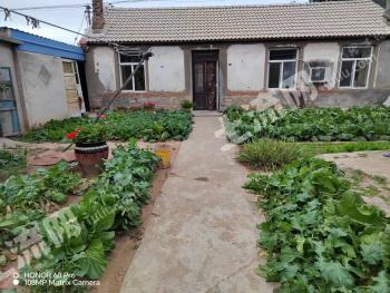 大連旅順口區(qū) 60平方米 農(nóng)村宅基地 使用權(quán)出租